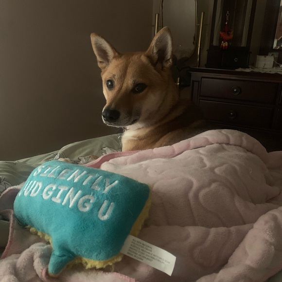 Meet your Posher, Adriana - Picture 1 of 1